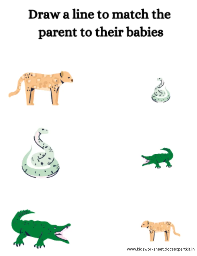 Match the Babies